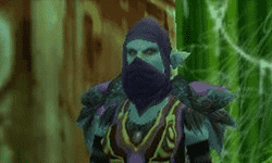 wow warcraft world of vanilla classic classico dungeons masmorras instancia instance group grupo party leader lider healer curandeiro dps melee ranged longo alcance tank tanque raide raid horde horda alliance aliança selva do espinhaço espinhaco stranglehorn vale forest zul'gurub trolls zandalar zandalari high priestess alta sacerdotisa marli