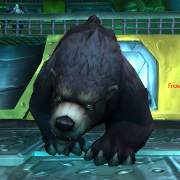 bfa guilda dos brigões wow world of warcraft guia montaria bruce rank 1 2 3 4 5 6 7 8 lutas mecânicas como vencer jacaré crocodilo