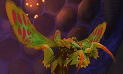 wow warcraft world of vanilla classic classico dungeons masmorras instancia instance group grupo party leader lider healer curandeiro dps melee ranged longo alcance tank tanque raide raid horde horda alliance aliança silithus ahn'qiraj qiraj ahn ahnqiraj ruins ruinas temple templo de of gates portoes princesa huhuran princess